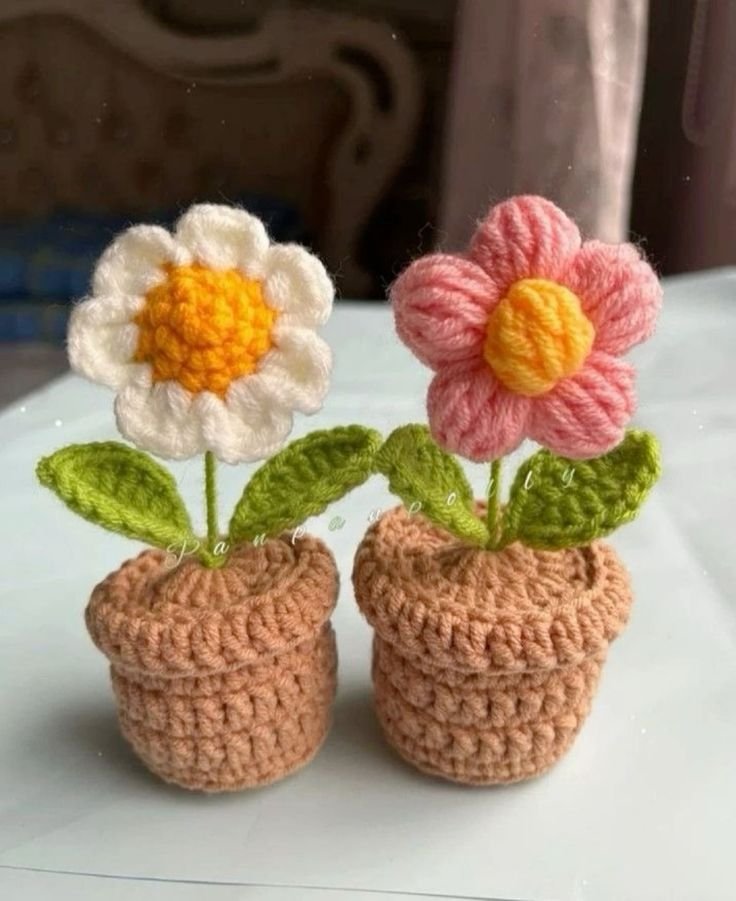 Cozy Succulent Crochet Plant Pot