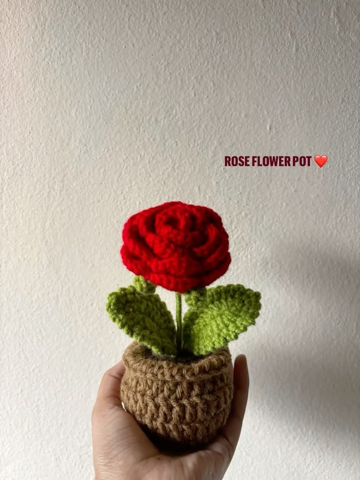 Mini Scarlet Rose Crochet Plant Pot